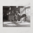 Search for stable postcards Equestrian
