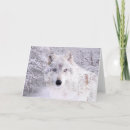 Search for wolf face postcards Head