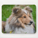 Search for shelties mousepads Animal