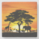 Search for african animal coasters Wildlife