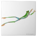 Search for blood red tiles Animal