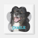 Search for pets magnets Cute