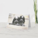 Search for cocker spaniel cards Animal