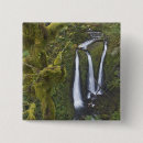 Search for river fall badges Oregon