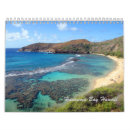 Search for hanauma posters Nature