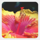 Search for close stickers Nature