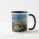 Search for great barrier reef mugs South pacific