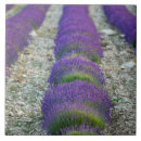 Search for provencal tiles Landscape