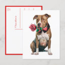 Search for pitbulls postcards Puppy