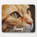 Search for green eyes mousepads Pets