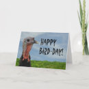 Search for birthday on thanksgiving cards Nature