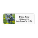 Search for grey cat return address labels Illustration