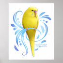 Search for budgies posters Parakeets