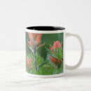 Search for paintbrush mugs Green