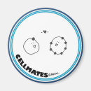 Search for electrons magnets Science