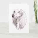 Search for saluki card cards Sighthound
