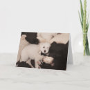Search for dog napping cards Puppy