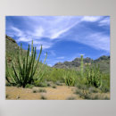 Search for pipe organ posters National monument