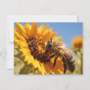 Search for honey bee postcards Sunflower