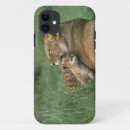 Search for panthera leo iphone cases Fauna