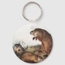 Search for marmot key rings Woodchuck