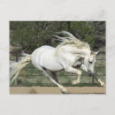Search for pr postcards Property released