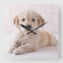 Search for golden retriever nursery decor Cute