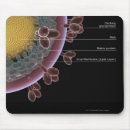 Search for aids mousepads Illustration
