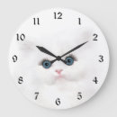 Search for persian blue posters Kitten