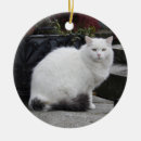 Search for persian cat christmas tree decorations White