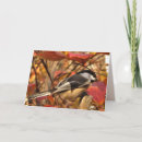 Search for autumn leaves birthday cards Wildlife