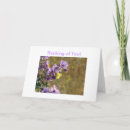 Search for weeds photography Floral