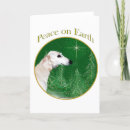 Search for saluki card cards Dog