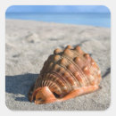 Search for sea shells stickers Clam