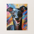 Search for greyhound puzzles Italian greyhound dog