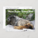 Search for mount rainier national park postcards Travel