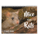 Search for rat calendars Mice