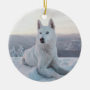 Search for white husky christmas tree decorations Animal