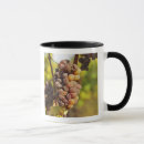 Search for bunch of grapes mugs Agriculture