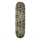 Search for friend skateboards Puppy