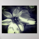 Search for black and white bee art Flower