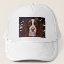 Search for springer hats Spaniels