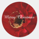 Search for christmas cactus stickers Floral