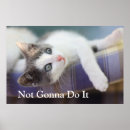 Search for cat lying down posters Pets