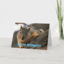 Search for curious cards Rodent