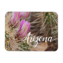 Search for 4x6 postcards Flowers