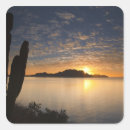 Search for cortez stickers Gulf of california