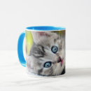 Search for baby kitten mugs Cat