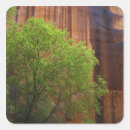 Search for cliff stickers Nature
