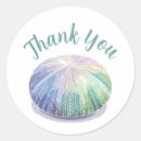 Search for sea urchin stickers Summer